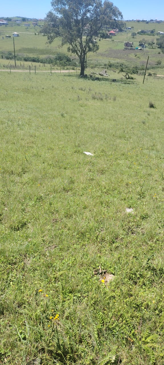  Bedroom Property for Sale in Macleantown Eastern Cape